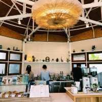 🌻 Lapuné Cafe and Scene  🌻