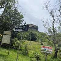 神秘の岩  世界遺産🌍スリランカ🇱🇰シーギリヤ