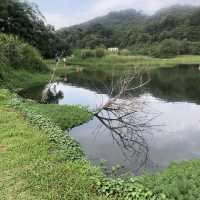 月眉人工濕地