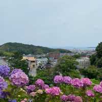 蒲郡　形原あじさいの里で紫陽花と絶景の見晴らしを満喫