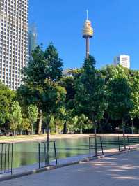 시드니 필수 코스 🇦🇺