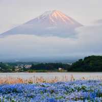 初見富士山🗻