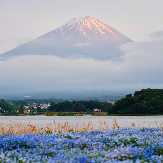 初見富士山🗻