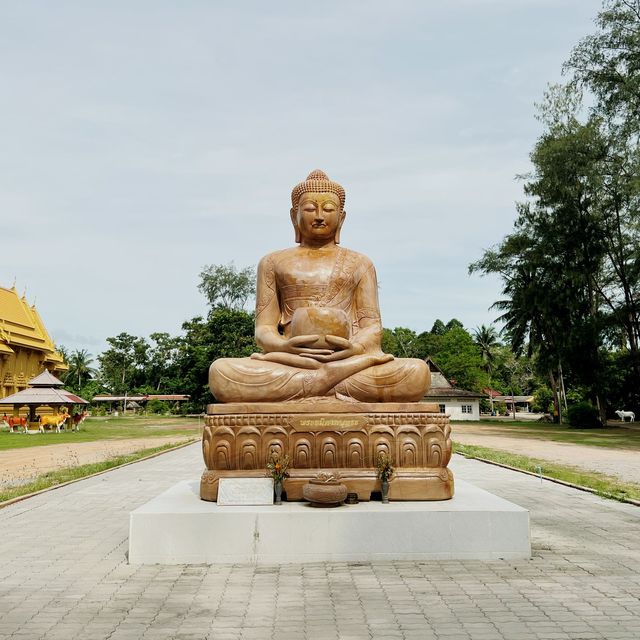 วัดทุ่งไทรทอง ชุมพร