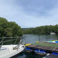 Mangrove​ Bungalow​ &​ Restaurant​