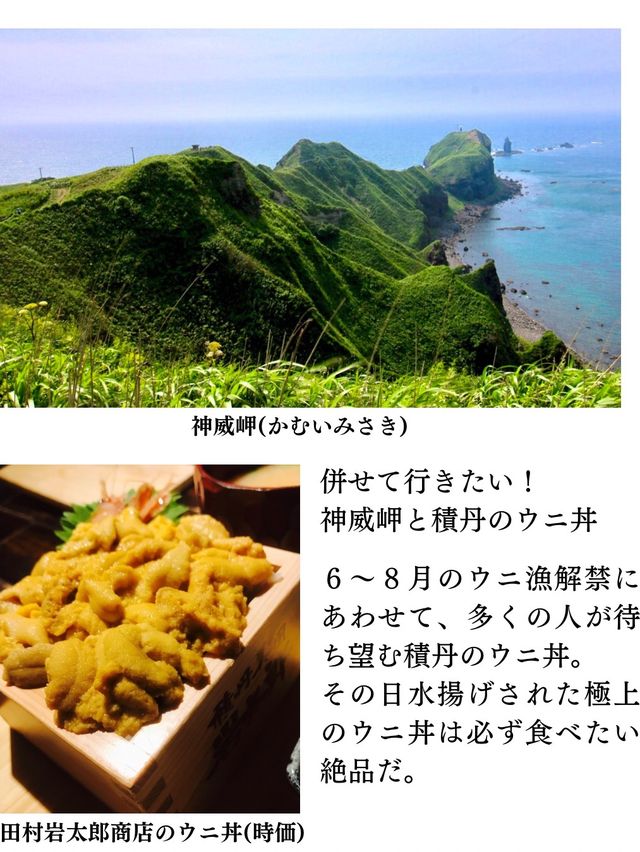 【積丹/島武意海岸】北海道の絶景ログVol.4