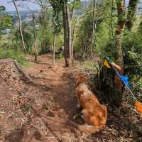 ภูซับเหล็ก ขึ้นเขาแค่ 400 เมตรแต่วิวหลักล้าน