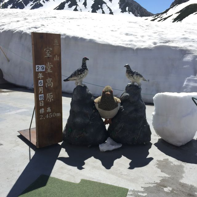 立山室堂｜❄️遊雪白的御庫裏池地獄谷