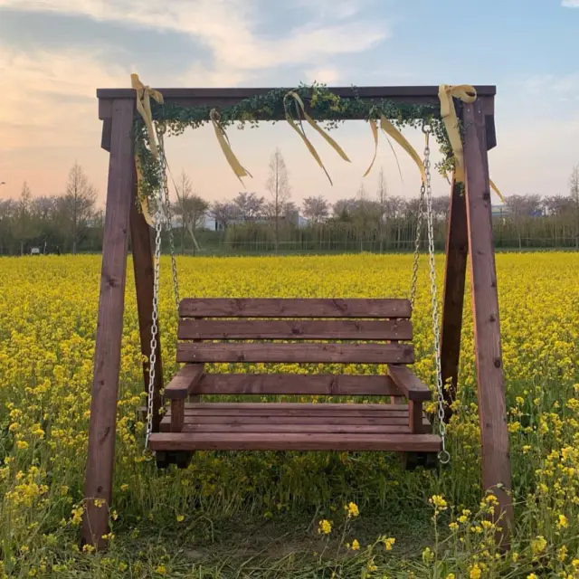 대저생태공원 유채꽃밭 🌼🌸