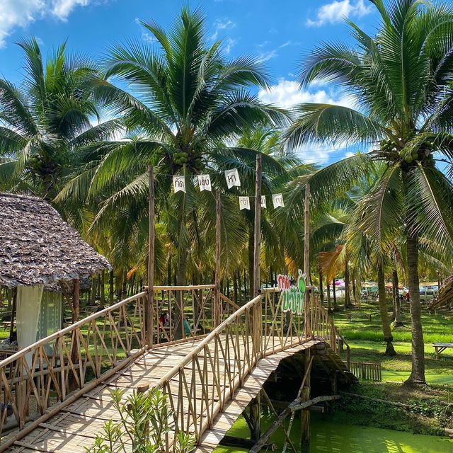 치앙마이 바파오 코코넛 플리마켓 이색적인 동남아 풍경🌴
