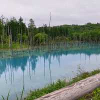 A beautiful blue Pond 
