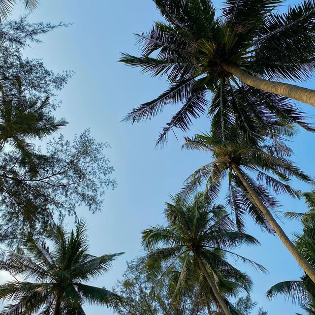 Koh Kood Paradise Beach Resort