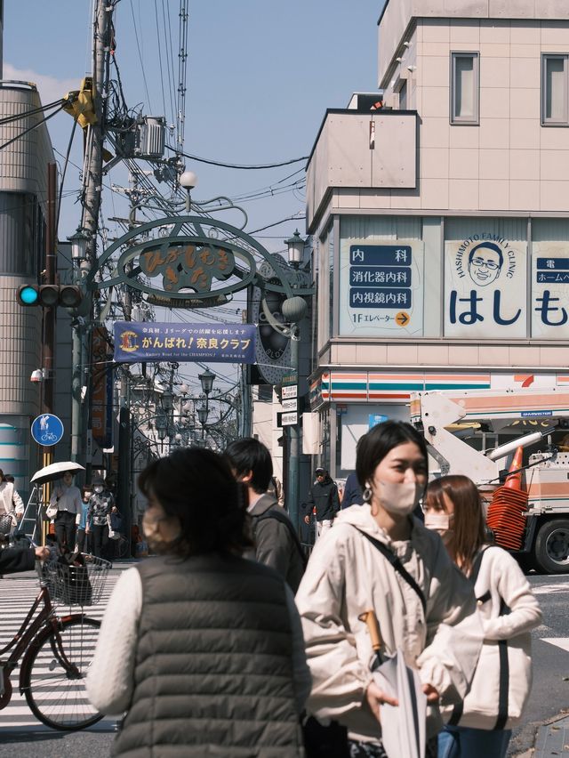 日本 | 奈良之旅 去奈良公園看小鹿🦌