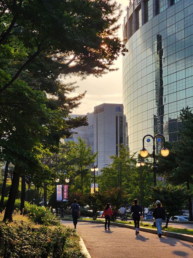 서울 대표 러닝 스팟, 여의도공원 ✨