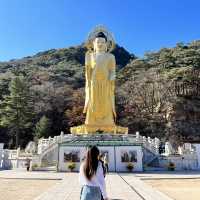 충북 단풍 명소 속리산 법주사
