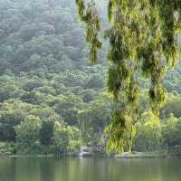กางเต็นท์แคมป์ปิ้งริมอ่างเก็บน้ำ ชลบุรี 🌿