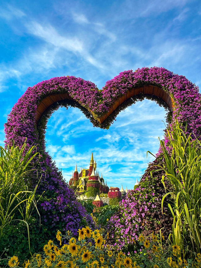 A Flowering Oasis in the Desert