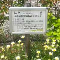 自動販売機にゾウの銅像！岩場にお正月飾り！