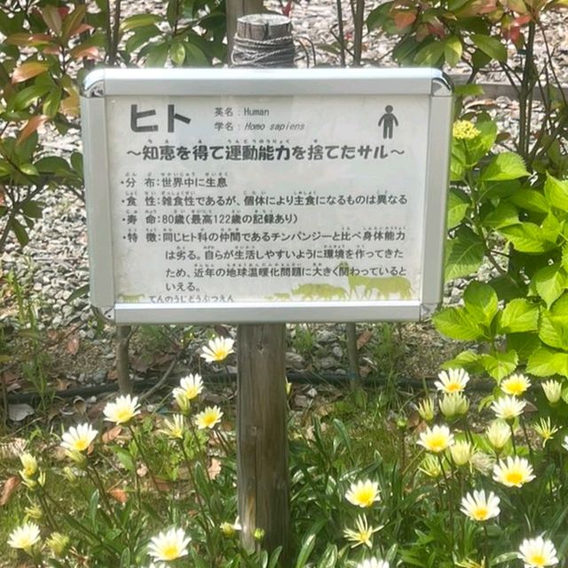 自動販売機にゾウの銅像！岩場にお正月飾り！