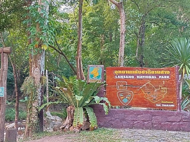 อุทยานแห่งชาติลานสาง 