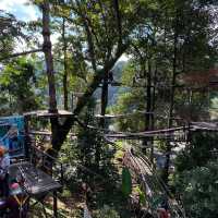 Pongyang Jungle Coaster&Zipline