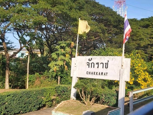 ระหว่างทางกลับบ้าน🌞🚂🌳🍃🛤