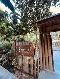Go on a trip to this NATURA CAFÈ right NOW!