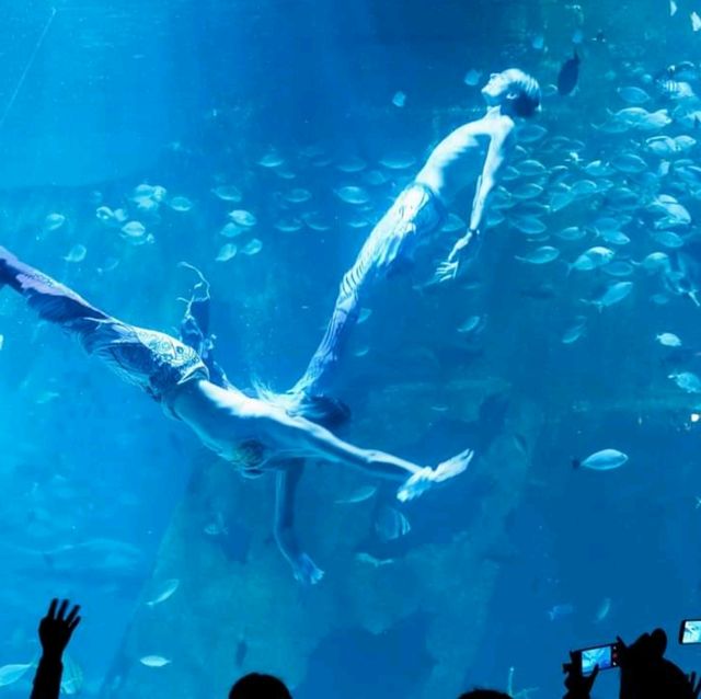 Aquaria Phuket