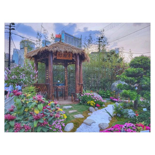 環球賞花。2023花卉展