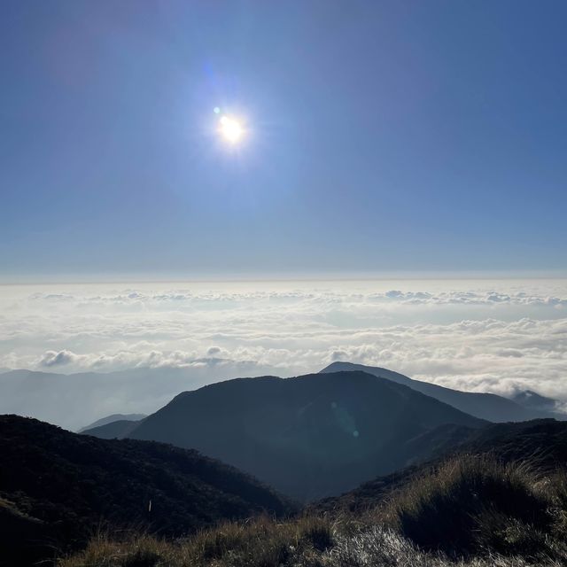 Majestic Mt Pulag 