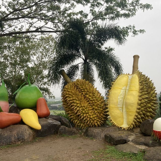 สวนละไม ระยอง สวนละไม ระยอง