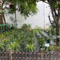 Luís de Camões Plant Nursery