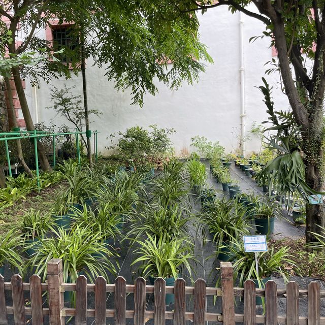 Luís de Camões Plant Nursery