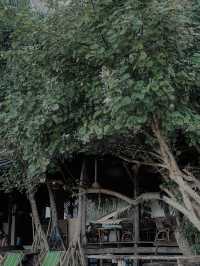 The Tropical Koh Mook 