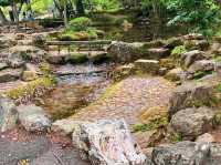 สวนสาธารณะกิฟุ (Gifu Park)🌳🌿