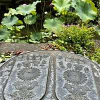 Sightseeing at Hase-dera Temple 