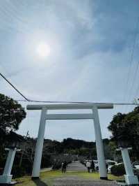 【安房神社/千葉県】日本三大金運神社