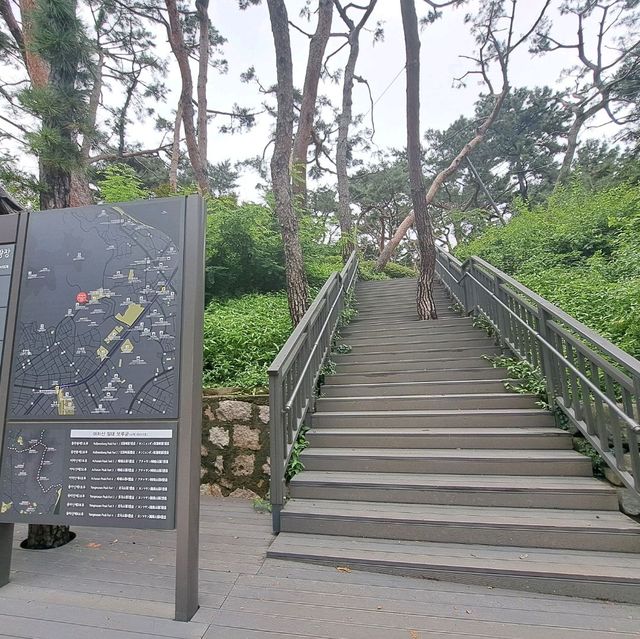 韓國景點📸峨嵯山生態公園😊親親大自然體驗日🌤