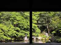 【京都】絶景ながらマイナー観光スポット！蓮華寺をご紹介