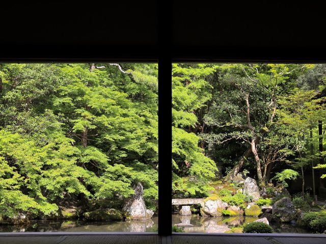 【京都】絶景ながらマイナー観光スポット！蓮華寺をご紹介