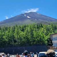 Catch A Glipse Of Mount Fuji