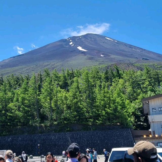 Catch A Glipse Of Mount Fuji