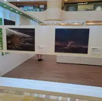 大自然保護協會攝影比賽作品展的個人體驗及感受