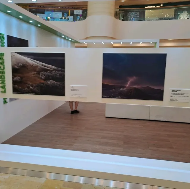 大自然保護協會攝影比賽作品展的個人體驗及感受