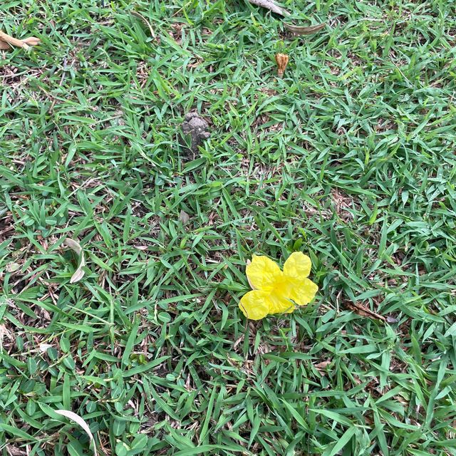 พุทธมณฑล