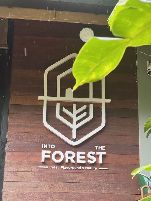 Into the forest คาเฟ่ในหุบเขา บรรยากาศดี 