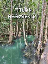 เที่ยวคลองท่าปอม มหัวจรรย์คลองสองน้ำ 