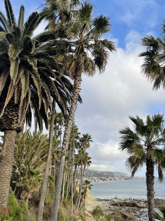 🇺🇸예술가들이 모여사는 캘리포니아의 인기 해변!“라구나비치 Laguna Beach” 
