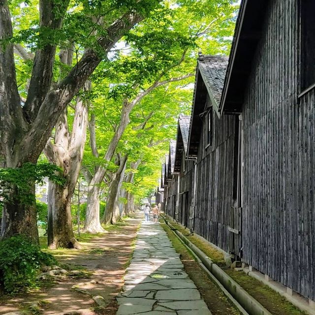 Harbour town Sakata ⚓️🛶