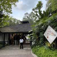A treat to the senses@National Orchid Garden